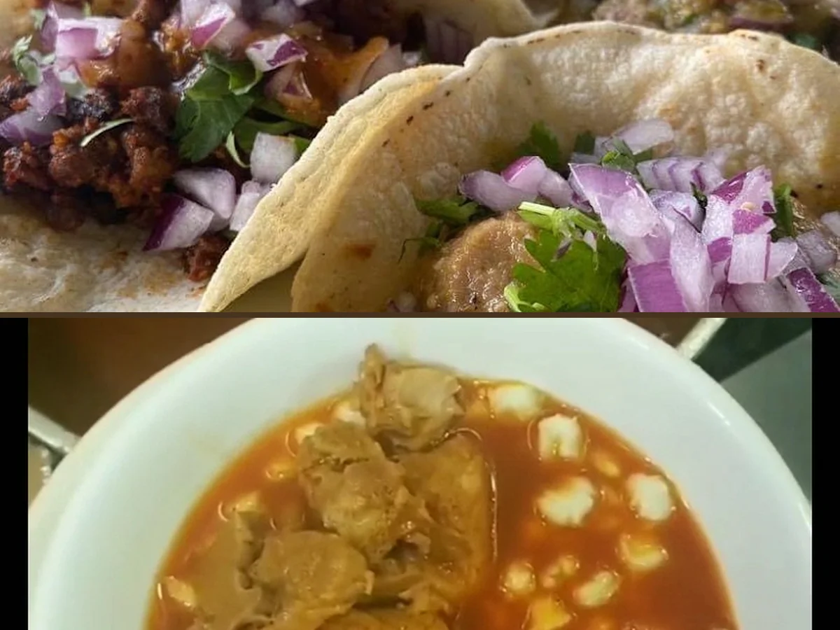Fresh tacos and enchiladas on a table.
